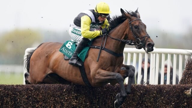 Galia Des Liteaux ridden by jockey Harry Skelton clear a fence during the Air Charter Service Mildmay Novices