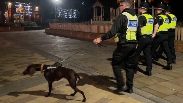 Se utilizarán perros rastreadores para encontrar drogas para violaciones en citas en una nueva táctica en la guerra policial contra las bebidas alcohólicas
