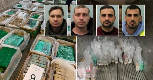 Banda de narcotraficantes encarcelada después de que se encontraran 200.000.000 de libras esterlinas en cocaína en cajas de plátanos | Noticias del Reino Unido
