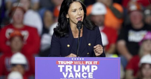 Columna: Tulsi Gabbard, ¿jefa de inteligencia? La elección de Trump tiene más probabilidades de fracasar
